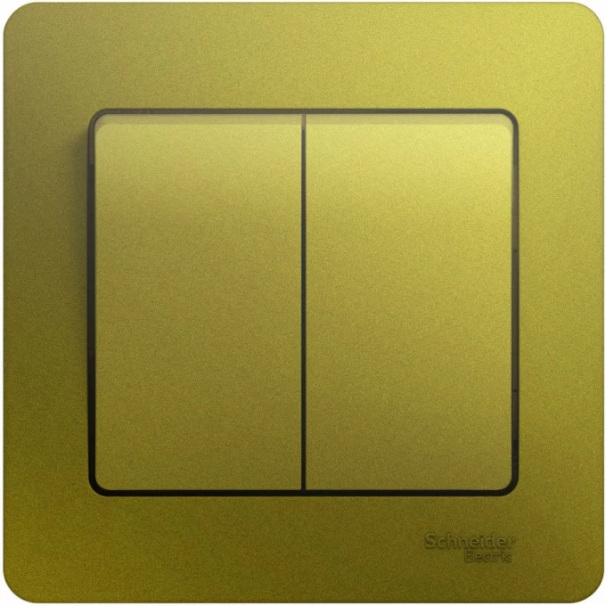 2-клавишный выключатель SCHNEIDER ELECTRIC GLOSSA, сх.5, 10АХ, в сборе, ФИСТАШКОВЫЙ GSL001052