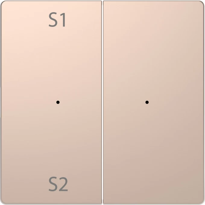 Клавиша двойная с символами MERTEN D-LIFE PLUSLINK с S1/S2, пусто, ШАМПАНЬ, SD MTN5226-6051